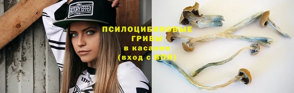 COCAINE Богданович